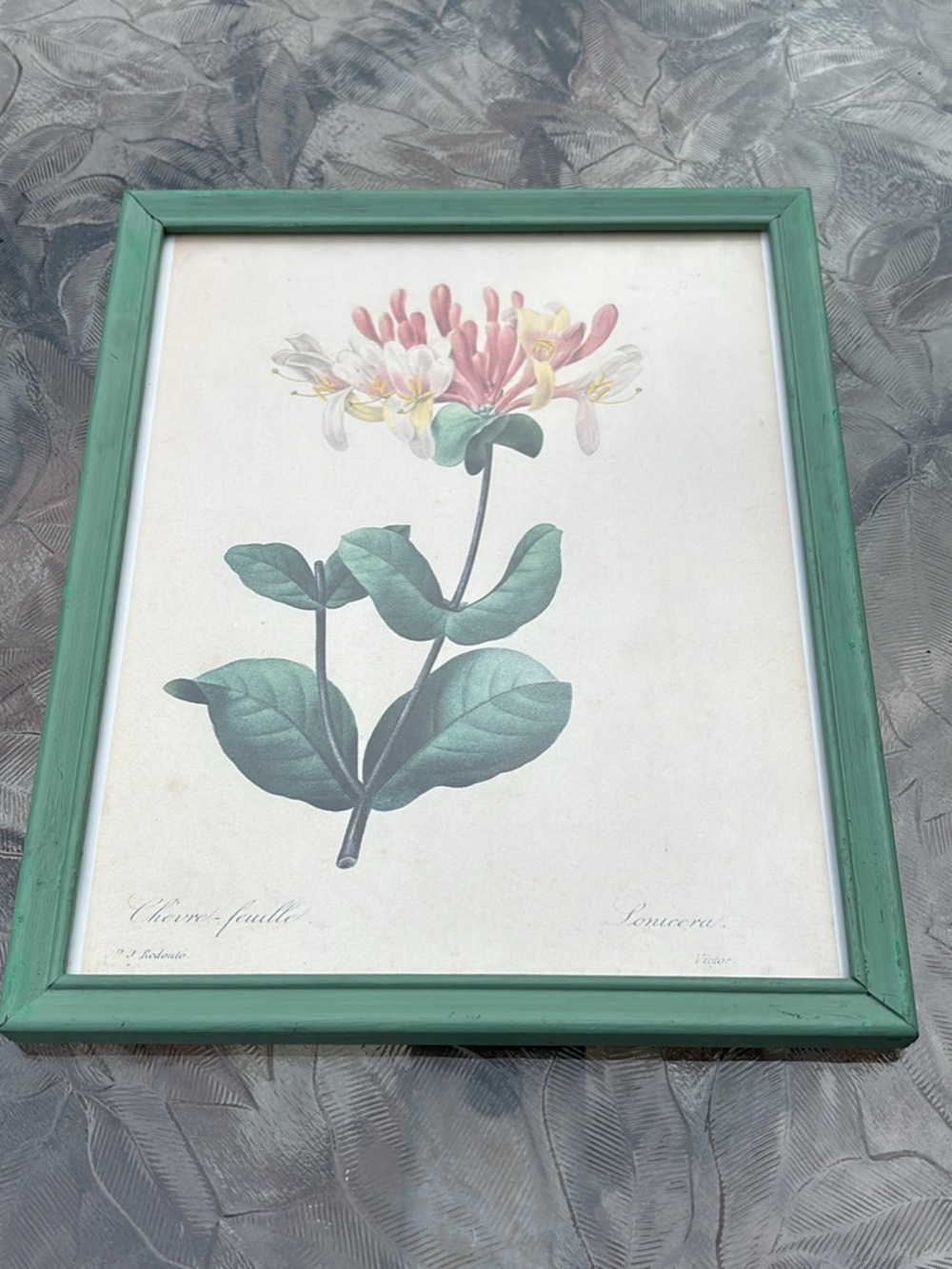 Vintage Japanese Honeysuckle Print